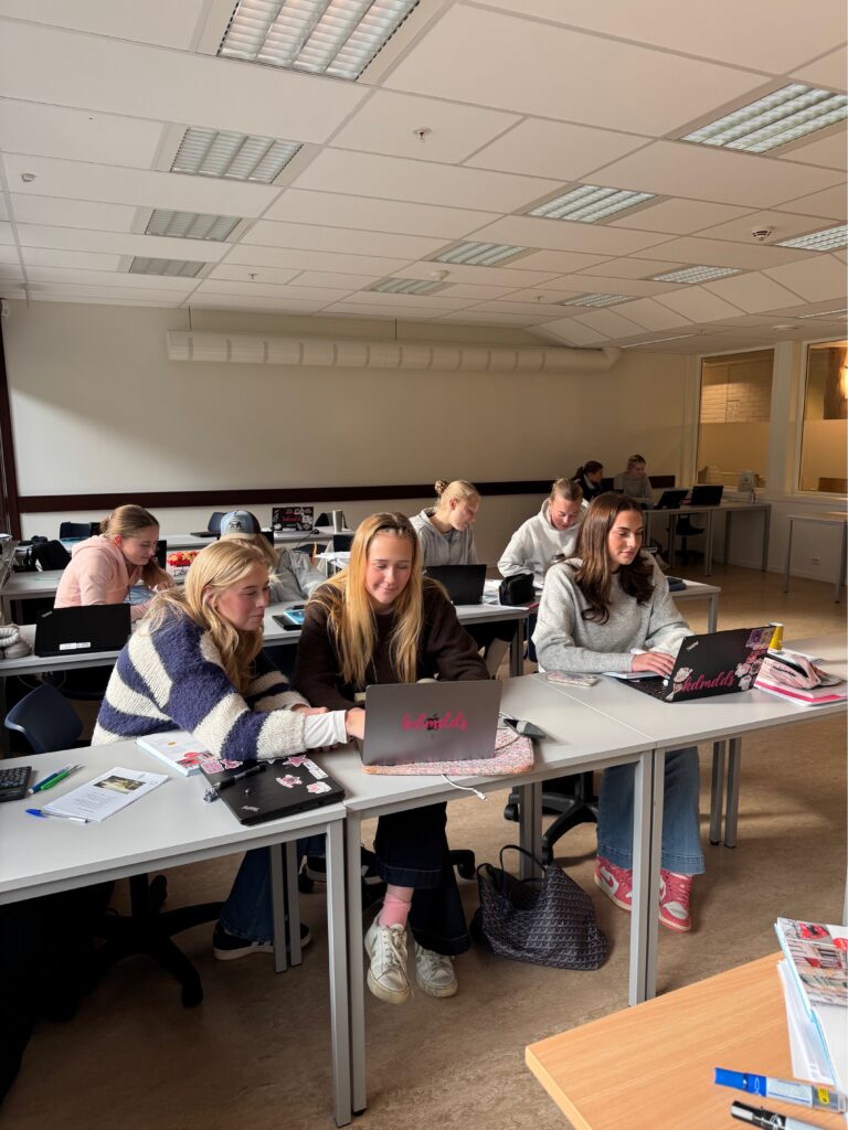 Elevar i arbeid i klasserommet